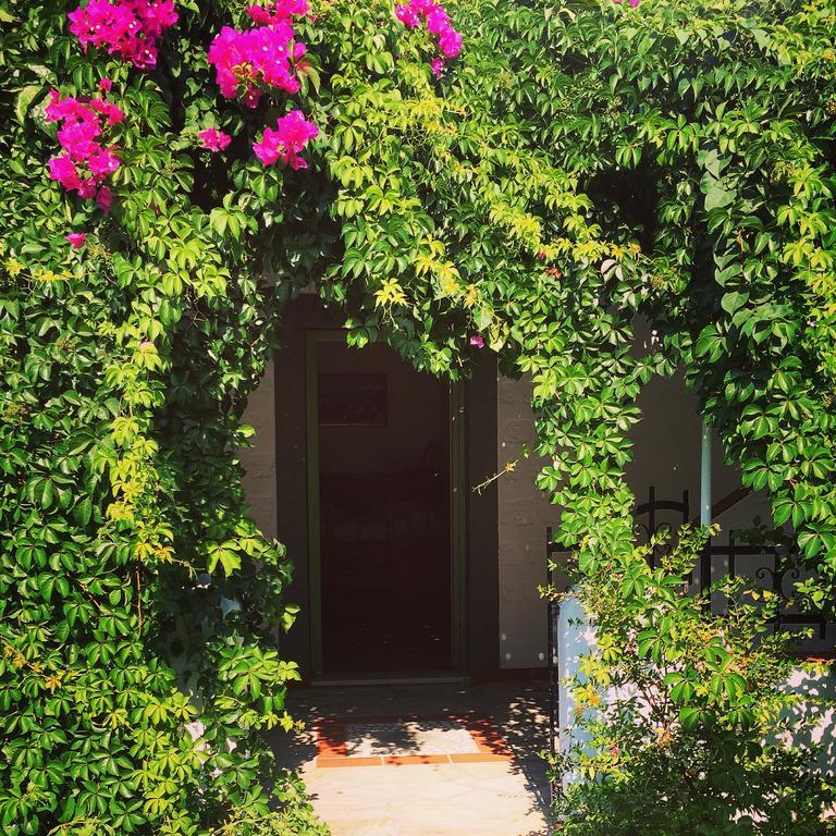 Patmos *